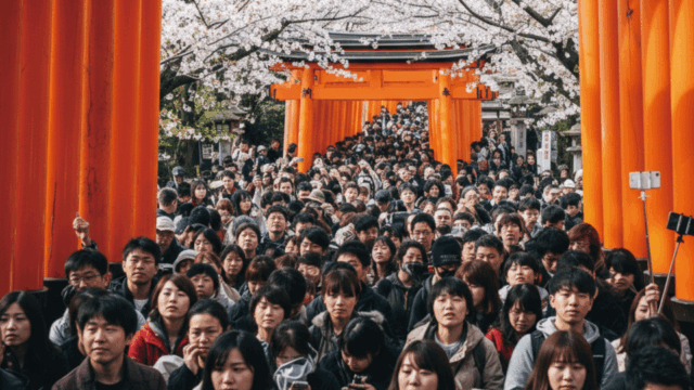 A dense crowd of people, including many Japanese visitors and tourists, fills the path through the iconic orange torii gates of Fushimi Inari Taisha in Kyoto. Cherry blossoms are visible blooming above the gates, indicating a peak travel season.